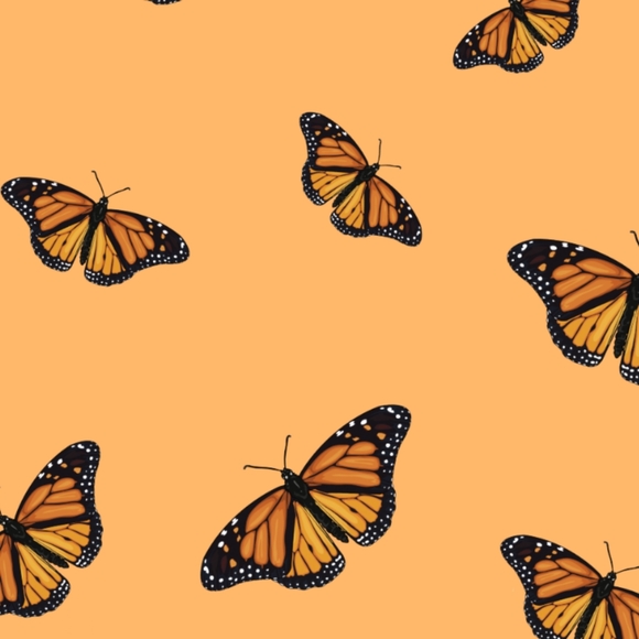 Welcome to my closet๐ค๐๏ธ - Picture 1 of 1